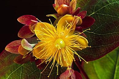 《赛马大亨10》先导预告公布 2023年3月30日发售